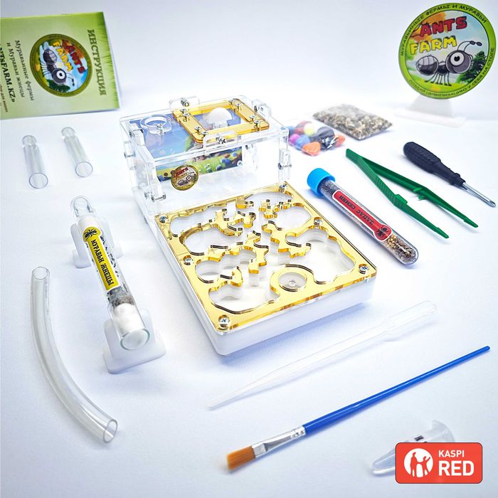 Муравьиная ферма - Муравьи жнецы ||| ГИПСОВЫЙ Формикарий "START"