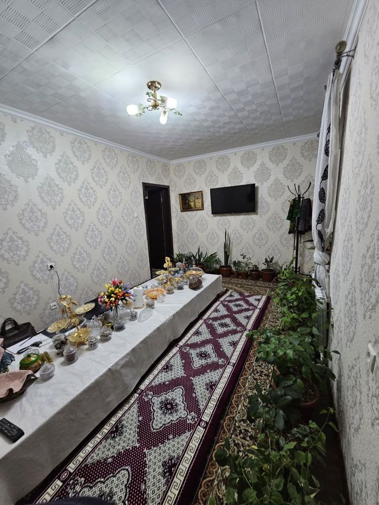 Bemalol kelib koʻrib olishingiz mumkin hamma narsasiga kafolat beramiz