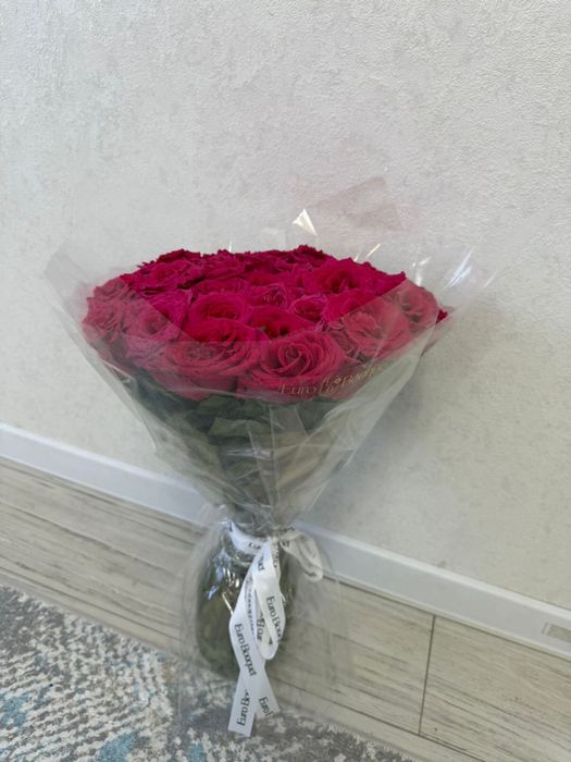 Голланский 33 штук гул свежий