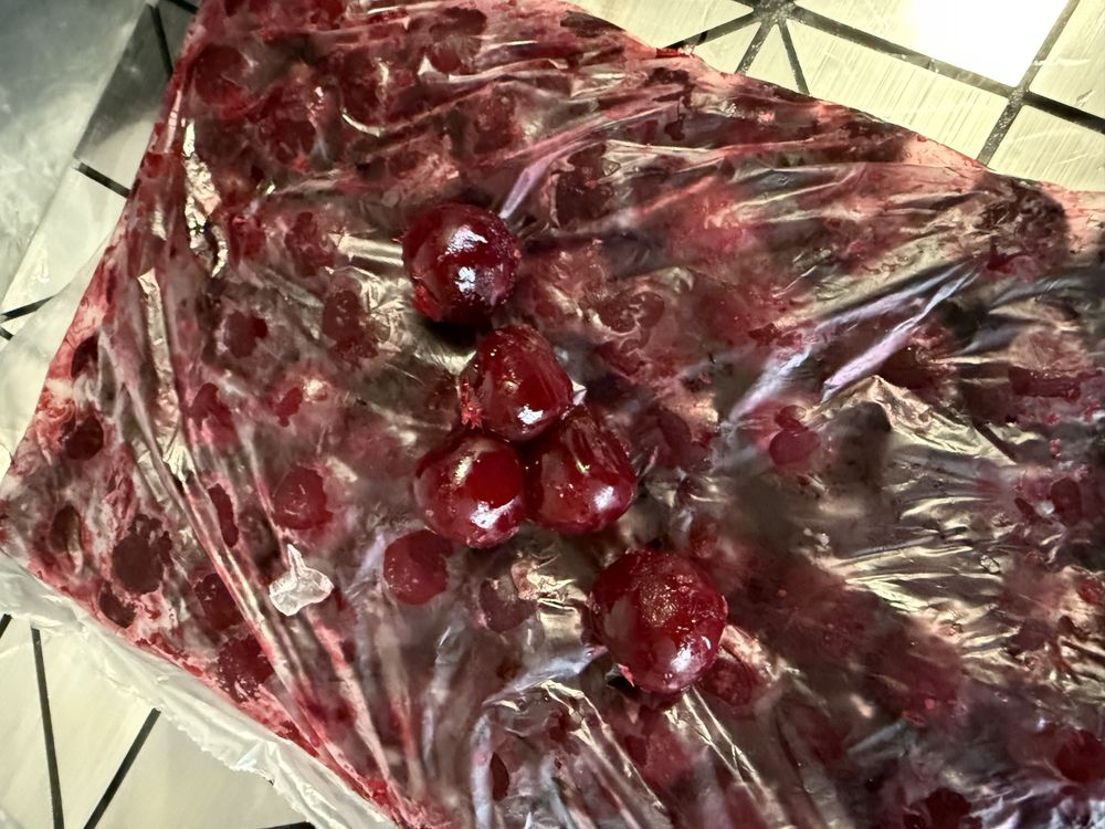Olcha” shpanka muzlatilgani danakli