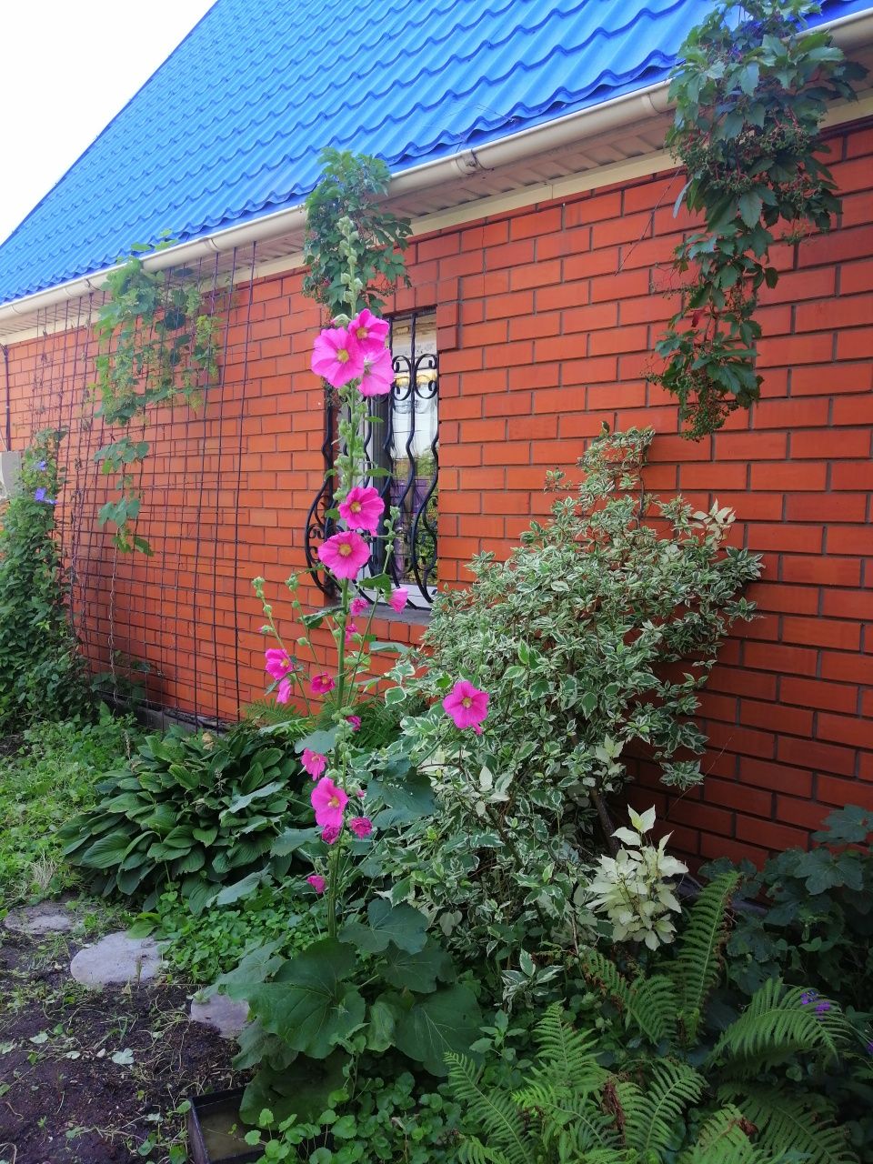 Продам дом в районе города