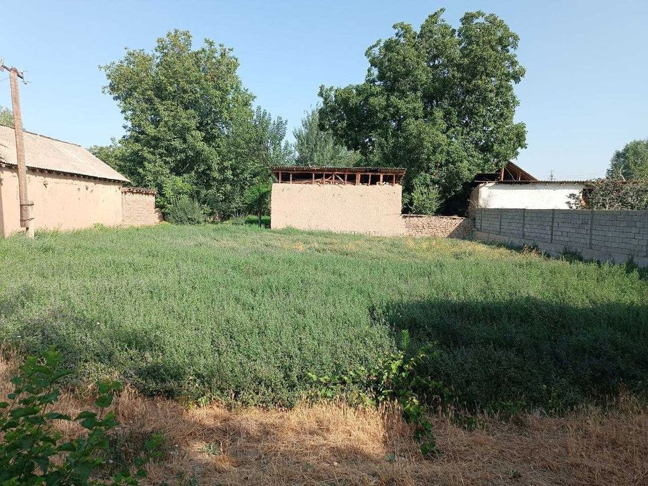 Kitob tumani minglar qishlogida 8-sotixli uchastka sotiladi