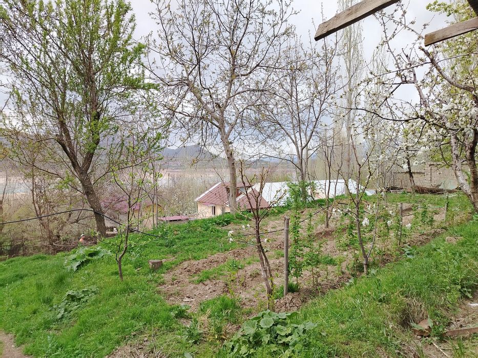 Йер сотилади 6 сток чорвок срочний