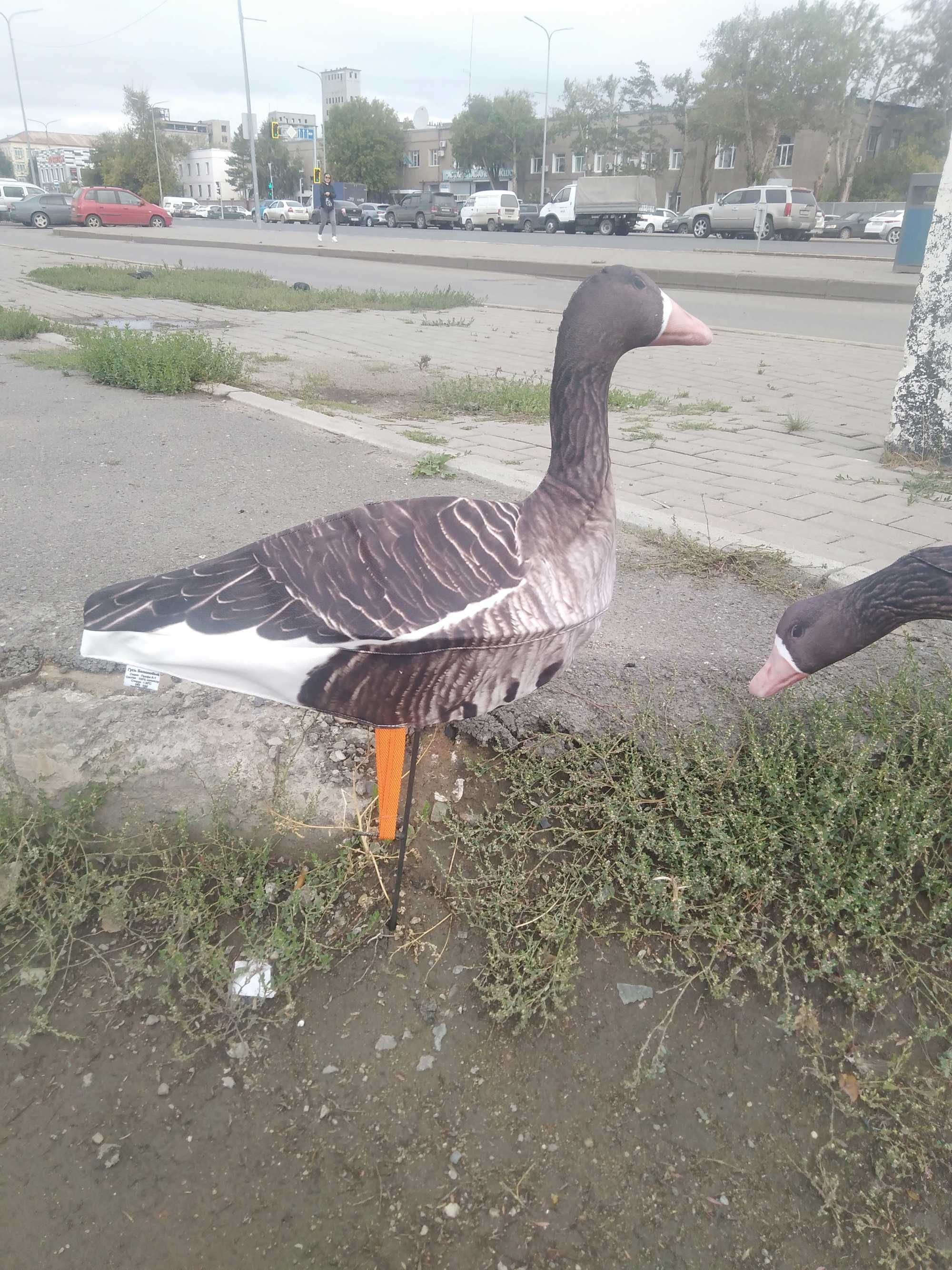 Гусиные профиля для охоты
