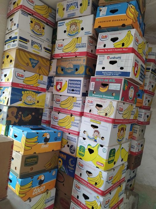 Кашони от Банани