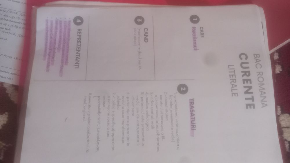 Materiale pentru bac la română