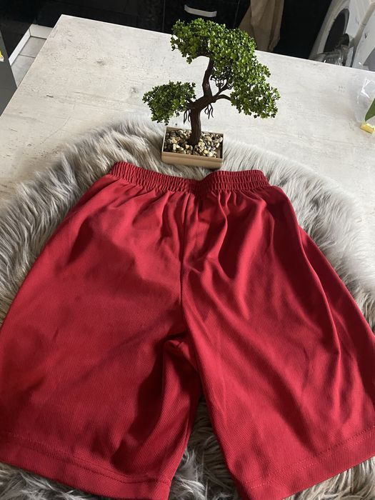 Оригинални AIR JORDAN къси гащи