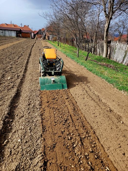 Goldoni diesel 18 cp