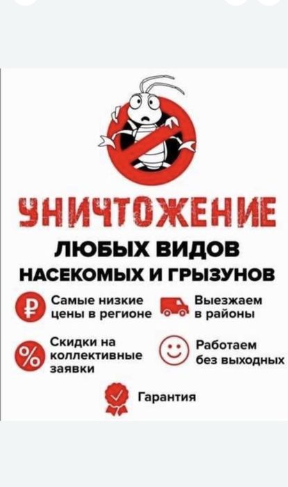 Уничтожение клопов, жучков. Клещей ос . Тараканы