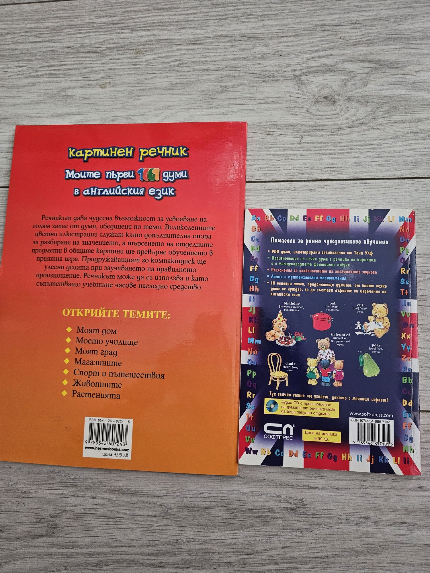 Картинен речник по английски език