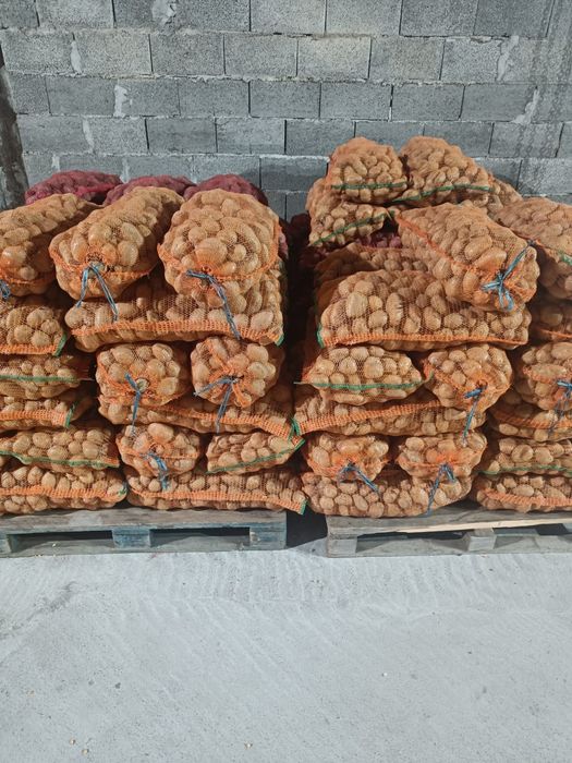 cartofi mari  alb rosu