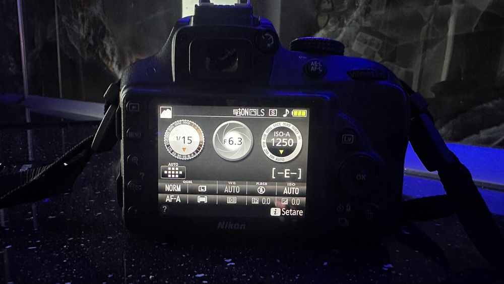 Nikon D3300+Obiectiv 18-55mm VR II