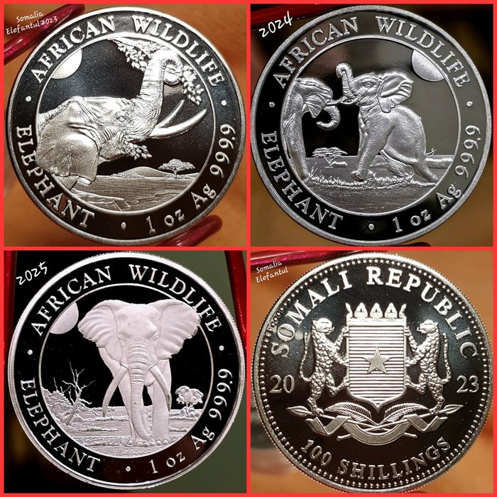 Somalia Elefantul si Leopardul 2011-2025 monede lingou argint 999