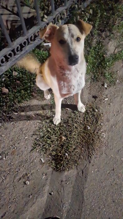 Мальчик в Дом 6 месяцев контактный