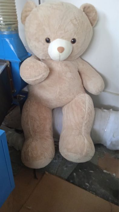 Urs de plus gigant 2.20 metri Maro Kota Baby