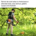 Cosire si tundere iarba, erbicidat, zona Ilfov