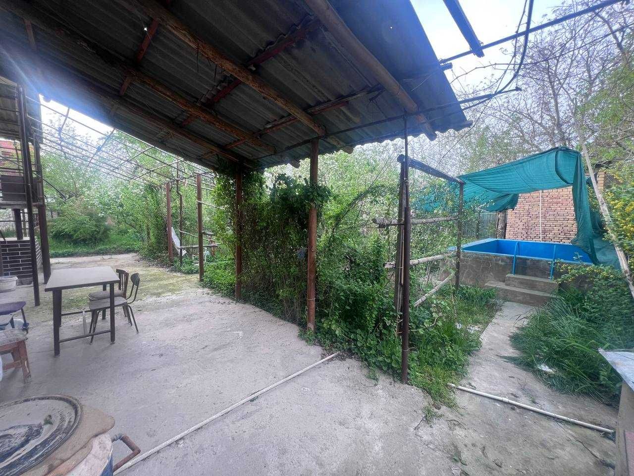 Dacha (Dala hovli)
