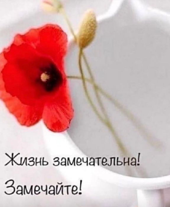 Курс гувернер - няня - воспитатель индивидуально