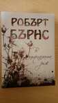 Книга В цъфналата ръж
