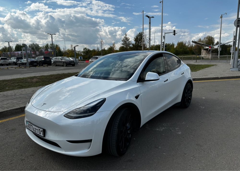 Tesla Model Y Performance