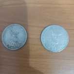 Moneda 100 lei, an 1994,1995