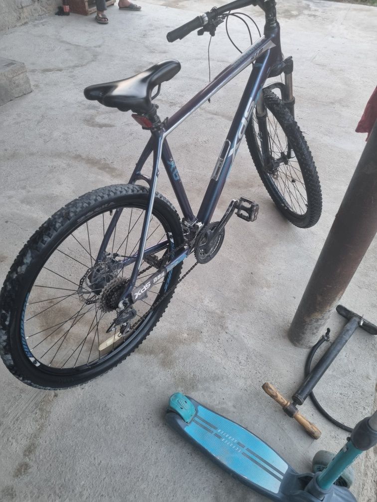 Xds510.         .