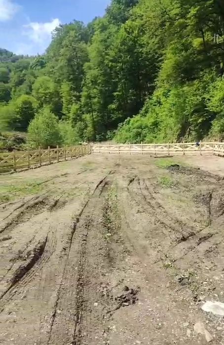 Stalpi de gard din stejar