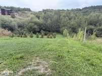 Teren 994 MP, Faget, ideal Casa Individuala