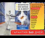 Дезинфекция качественно безопасно таракан клоп қандала тышқан бүрге