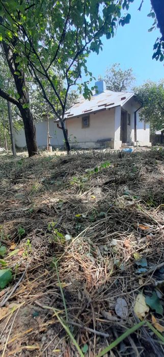 Casă + teren 2.640 mp, deschid. la DN, utilități, Meri, Drăgănești, PH