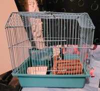 Cusca hamster de vânzare