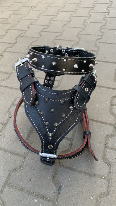 Ham pentru cainii talie mare