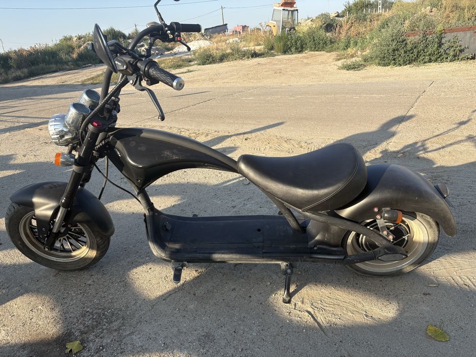 Vand scuteter electric chopper