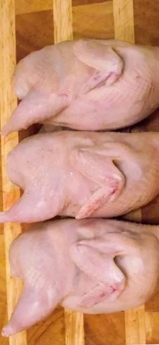 Перепела тушки свежезамороженые молодняк в вакуумный упаковке