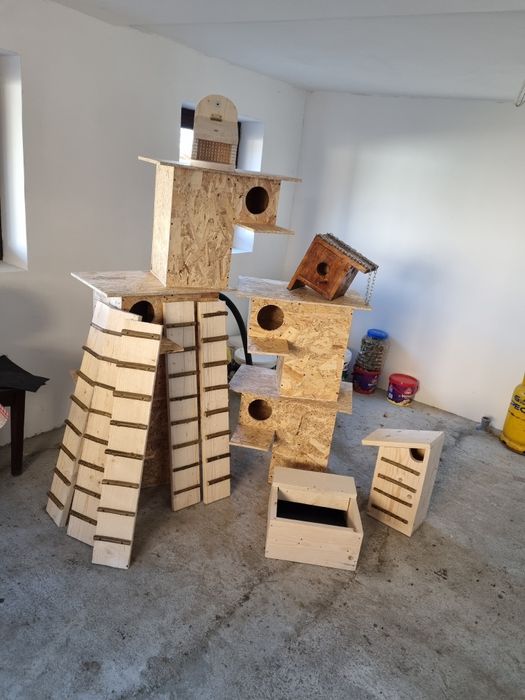 Cuibare rațe exotice