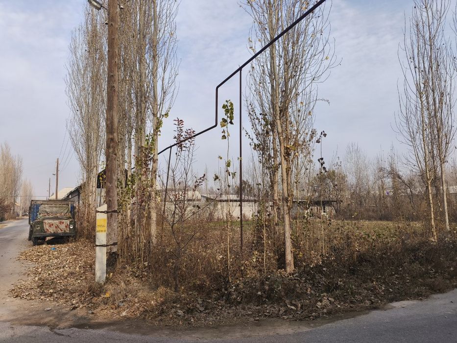 Chek zudlik bn sotiladi