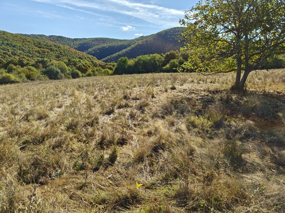 Teren extravilan 3,54 ha