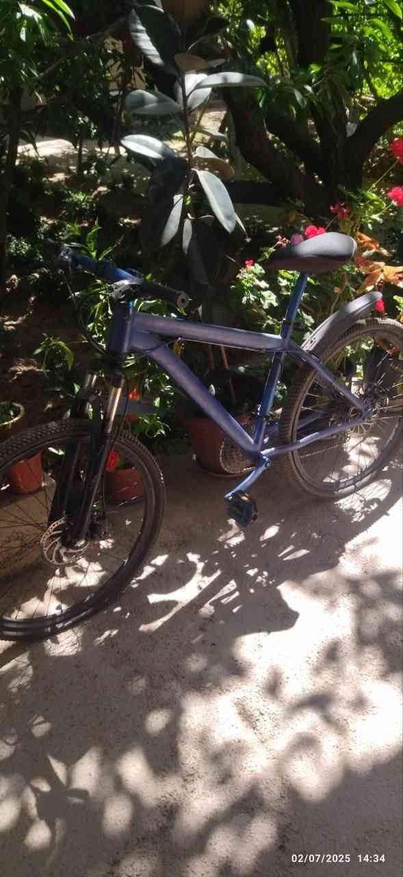 Velosiped yangidek