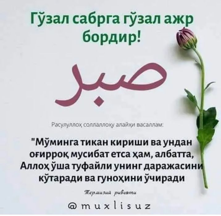 Сапоги кирзовые и берцы все новые