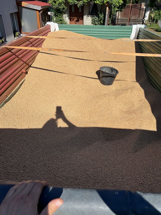 Grau toamna de samanta C2