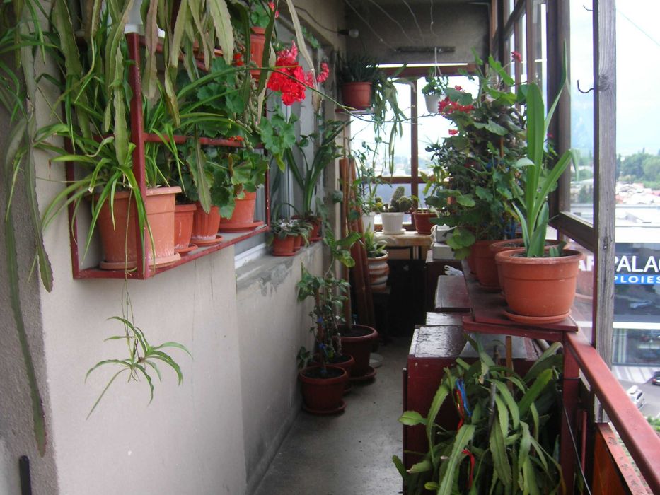 Ploiesti  Strada Gheorghe Doja 2 camere 52000 euro