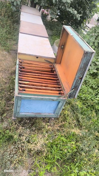 Продается пасика