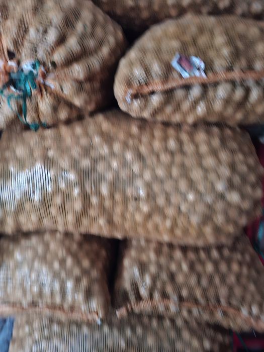 Жаңғақ, греческий орех натуральный