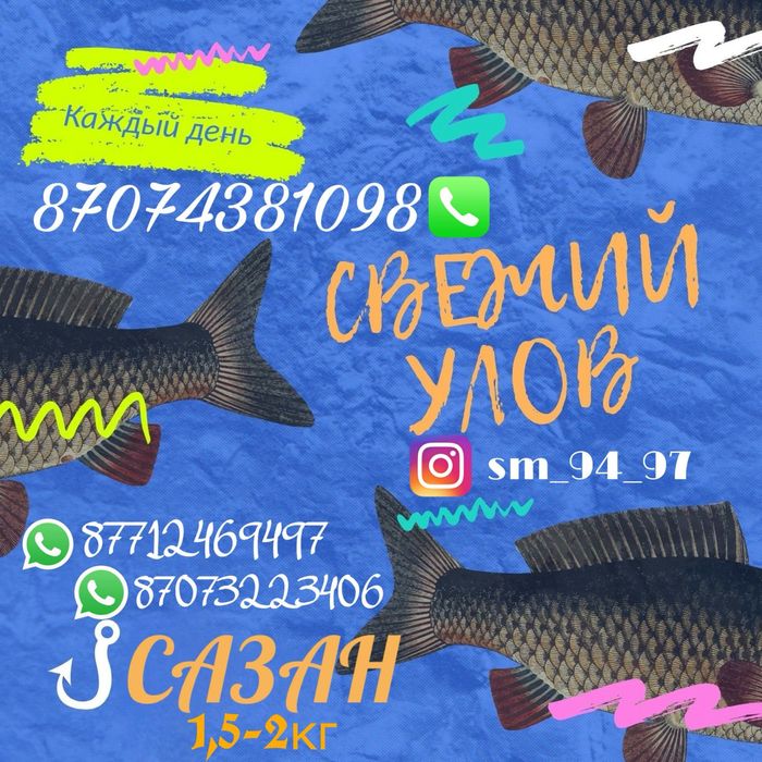 Продается живая рыба