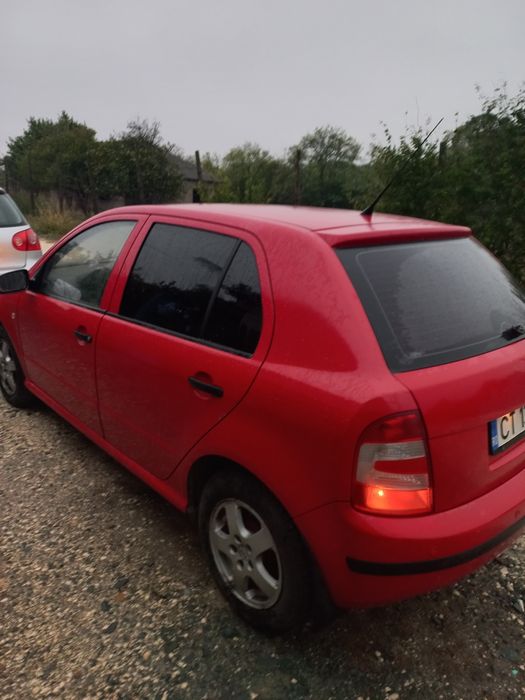 Vand skoda fabia 1