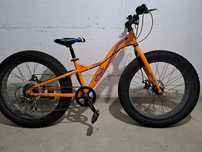 Bicicleta pitbul