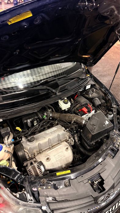 •Zaz Forza 2013 Arzon•