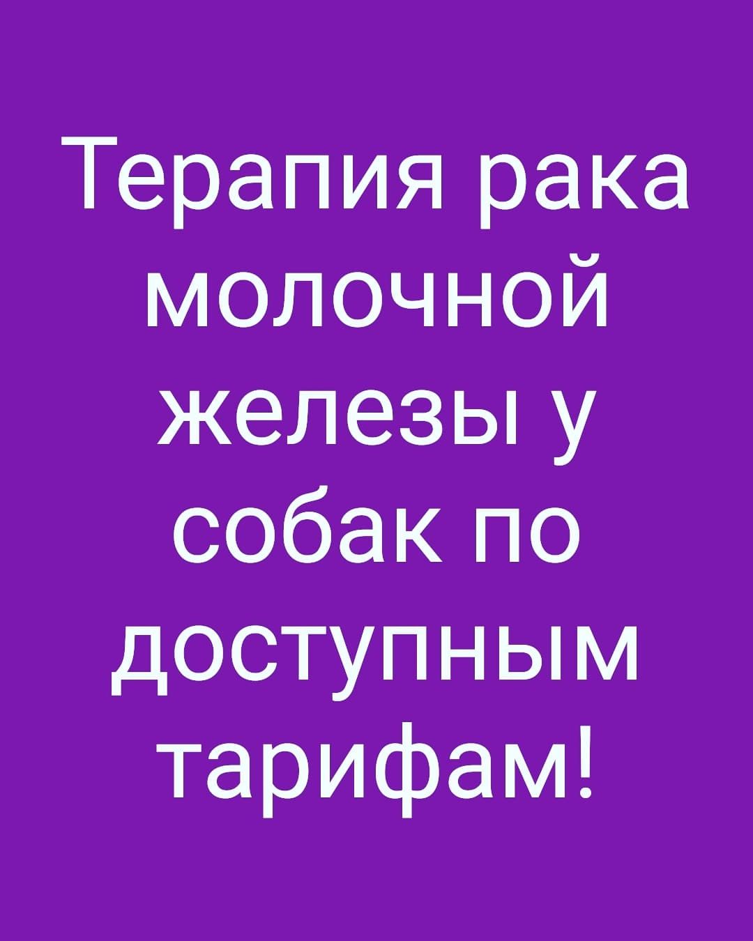 Вызов ветврача на дом в вечернее время! Запись заранее с утра!