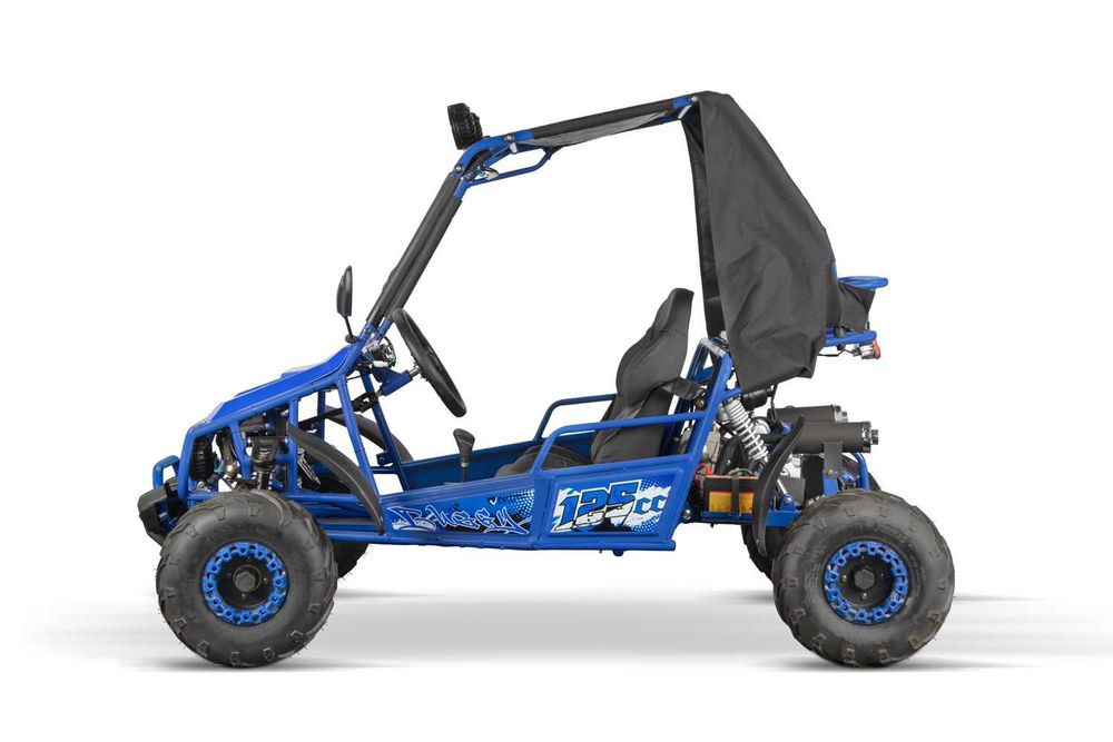 Buggy 125cc RG7 Automat New 2025 D-N-R