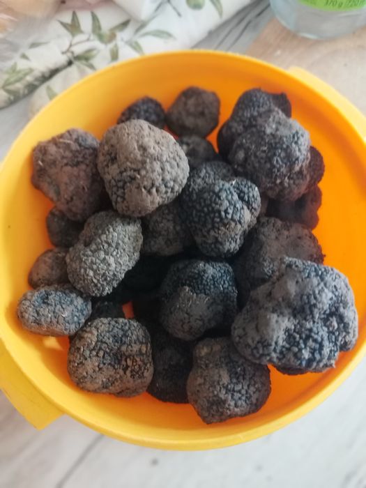 Trufe negre de toamnă